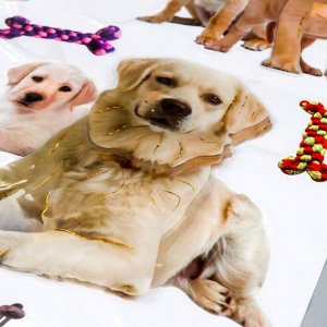 Наклейка пластик 2D "Кошки и собаки" МИКС 54х35,5 см