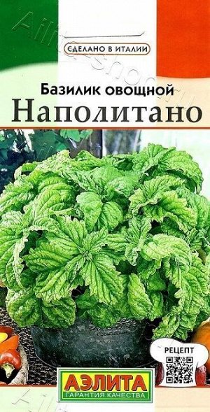 Базилик Наполитано (Код: 88711)