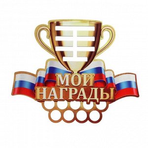 Медальница "Мои награды" цветная, ламинация, 290х345 мм