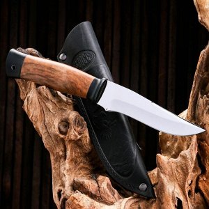 Нож охотничий «Персидский» Н17, ст. ЭИ107, рукоять текстолит, орех, 25 см