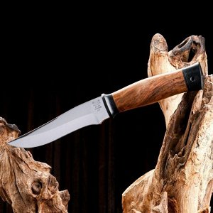 Нож охотничий «Персидский» Н17, ст. ЭИ107, рукоять текстолит, орех, 25 см