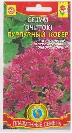 Седум (очиток) Пурпурный ковер (Код: 76095)