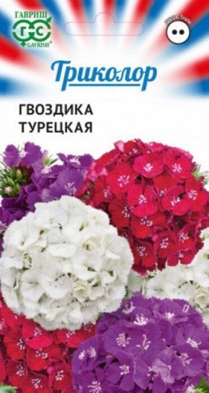 Гвоздика Турецкая Триколор (Код: 88984)