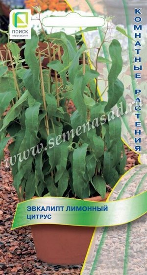 Эвкалипт Лимонный Цитрус (Код: 88917)