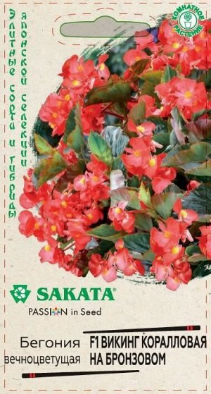 Бегония Викинг коралловая на бронзовом F1 (Код: 88971)