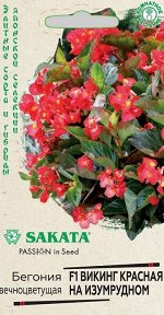 Бегония Викинг красная на изумрудном F1 (Код: 88973)