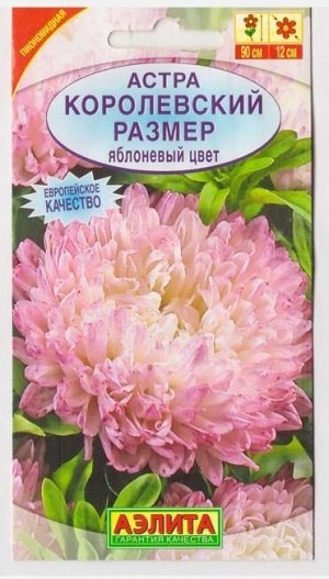 Астра Королевский размер Яблоневый цвет (Код: 6865)
