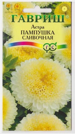 Астра Пампушка сливочная (Код: 70576)