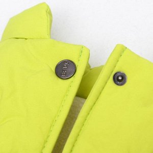 Куртка для собак, L (ДС 30 см, ОШ 29 см, ОГ 44 см), жёлтая