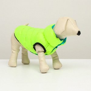 Куртка для собак двухсторонняя, XS25 (ДС 24 , ОШ 29 , ОГ 37 ), бирюзовая/салатовая