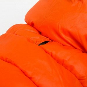 Куртка для собак двухсторонняя с воротником , ДС 24, ОШ 24, ОГ 40, оранжевая/зелёная
