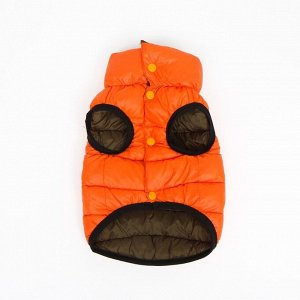 Куртка для собак двухсторонняя с воротником, ДС 26, ОШ 28, ОГ 44, оранжевая/зелёная
