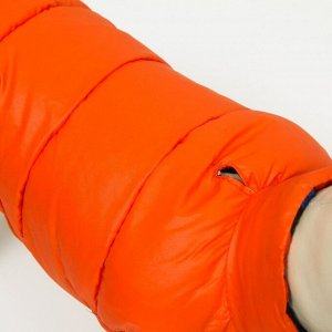 Куртка для собак двухсторонняя с принтом, размер 16 (ДС 36,ОГ 46, ОШ 35 см),коралловая