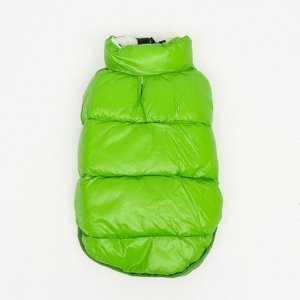 Куртка для собак двухсторонняя с принтом, размер 8 (ДС 20 см, ОГ 30, ОШ 22 см), зелёная