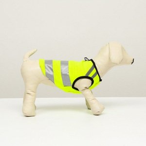 Светоотражающий жилет для собак, размер 14 (ДС 32 см, ОГ 42 см, ОШ 31 см),  жёлтый