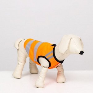 Светоотражающий жилет для собак, размер 18 (ДС 40 см, ОГ 50 см, ОШ 38 см), оранжевый