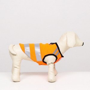 Светоотражающий жилет для собак, размер 8 (ДС 23 см, ОГ 30 см, ОШ 22 см), оранжевый