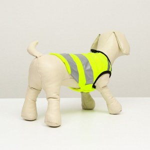 Светоотражающий жилет для собак, размер 8 (ДС 23 см, ОГ 30 см, ОГ 22 см), жёлтый