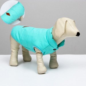Куртка для собак, S (ДС 20 см, ОШ 23 см, ОГ 32 см), голубая
