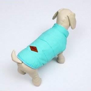 Куртка для собак, XL (ДС 39 см, ОШ 49 см, ОГ 49 см), голубая