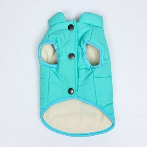 Куртка для собак, L (ДС 30 см, ОШ 44 см, ОГ 44 см), голубая