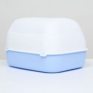 Туалет-домик с фильтром, 43 х 32 х 28 см, бело-синий