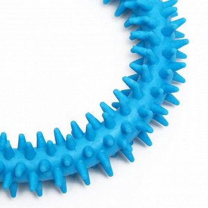Игрушка для собак "Кольцо с шипами", 12,5 см, голубая