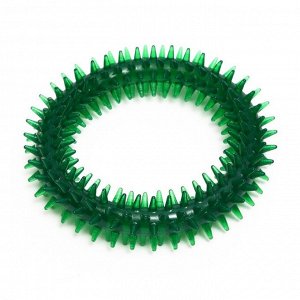 Игрушка для собак "Кольцо с шипами", 12,5 см, прозрачная, зелёная