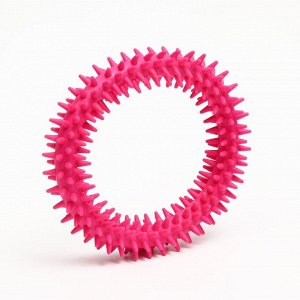 Игрушка для собак "Кольцо с шипами", 12,5 см, розовая