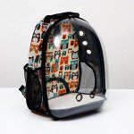 Рюкзак для переноски кошек и собак прозрачный «Совинные мордочки», 31 х 28 х 42 см
