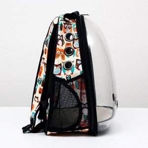Рюкзак для переноски животных "Совинные мордочки", прозрачный, 31 х 28 х 42 см