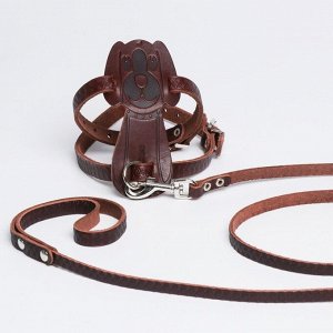 Комплект амуниции «Собака», коричневый (шлейка 32-41х1.2 см, поводок 130х0.8 см)