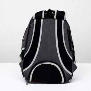 Рюкзак для переноски животных прозрачный, 31 х 28 х 42 см, голубой