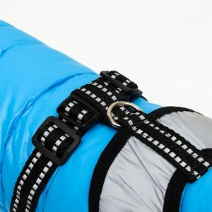 Куртка для собак со светоотражающей шлейкой, размер 14 (ДС 32, ОГ 42, ОШ 31), голубая