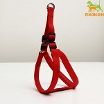 Шлейка &quot;Комфорт&quot; комбинированная, 2,5 см, ОШ 55-70 см, ОГ 60-73 см, красная