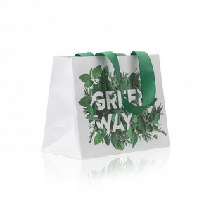 Пакет подарочный «Greenway» малый