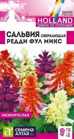 Сальвия Редди Фулл микс сверкающая/Сем Алт/цп 5 шт. ГОЛЛАНДИЯ