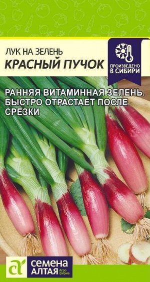 Лук на зелень Красный Пучок/Сем Алт/цп 0,3 гр. НОВИНКА!