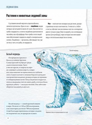 Природа России: от Арктики до пустыни. Моё первое путешествие