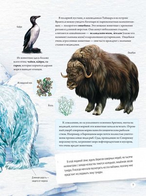 Питер Природа России: от Арктики до пустыни. Моё первое путешествие