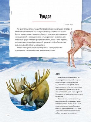 Природа России: от Арктики до пустыни. Моё первое путешествие