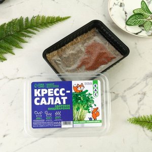 Набор для выращивания микрозелени «Кресс-салат»: лоток, семена на 1 урожай, льняной коврик