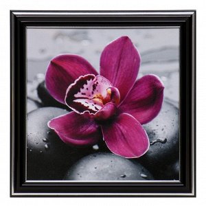 Картина "Орхидея" 18х18(21,5х21,5)см
