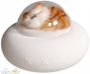 Ночник светодиодный Pets House / Силиконовый светильник-ночник в ассортименте LL001, LL001