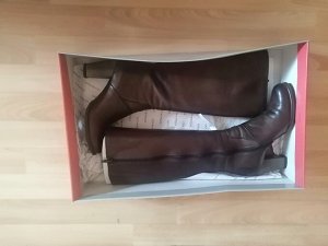 Осенние сапоги коньячного цвета
