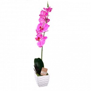 LADECOR Цветочная композиция Орхидеи, в декоративном горшке, пластик, 45см
