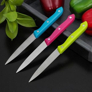 Набор кухонных ножей «Цвета», 3 предмета, лезвие 12 см, цвет МИКС