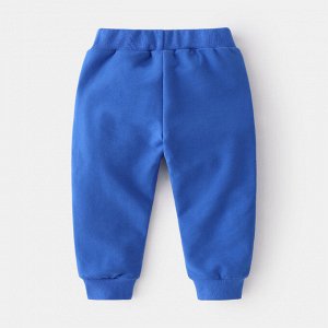 Штаны для мальчика , цвет: синий