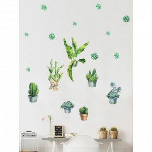 Интерьерные наклейки "Кактусы и цветы в горшочках" 25х90 см зеленый
