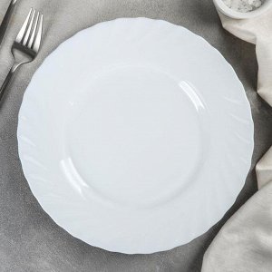 Тарелка обеденная, d=25 см